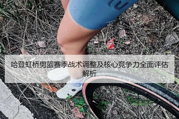 哈登虹桥男篮赛季战术调整及核心竞争力全面评估解析